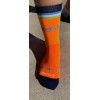 TCSD DeFeet Crew Sock